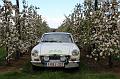 MG Bloesemrit op 24-4-2016 org. Jos&Marie-lou  (236)